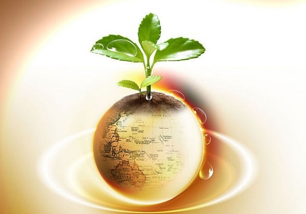 地缘政治缓和金价跌创两周新低，关注鲍威尔国会证词